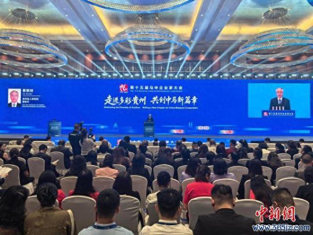 图为大会现场。中新网记者张伟摄